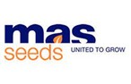 Mas Seeds